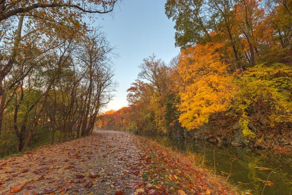 Anglers Autumn Towpath - HDR