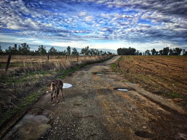 Another Day, Another Walk Down The Driveway