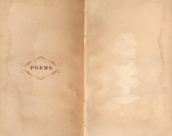 Antique Poems Paper Template