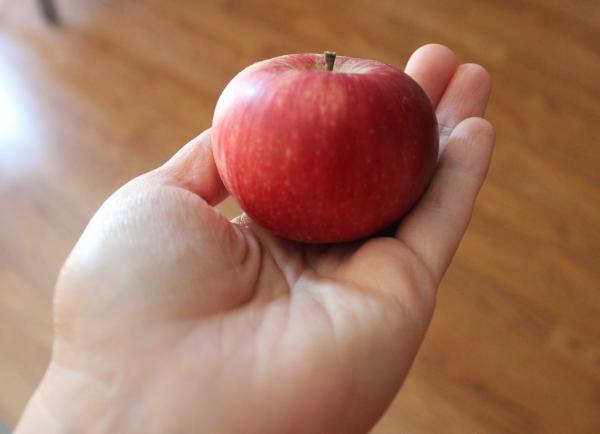 Apple in hand