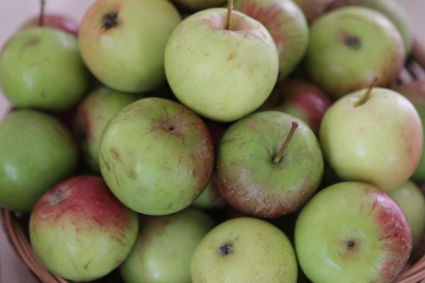 Apples