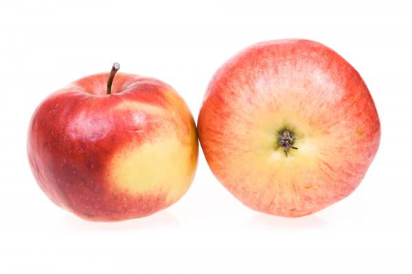 apples
