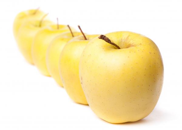 apples