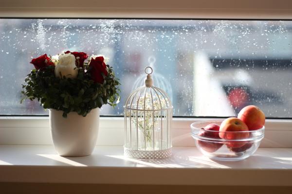 Apples in Ball Near Flowers in Vase