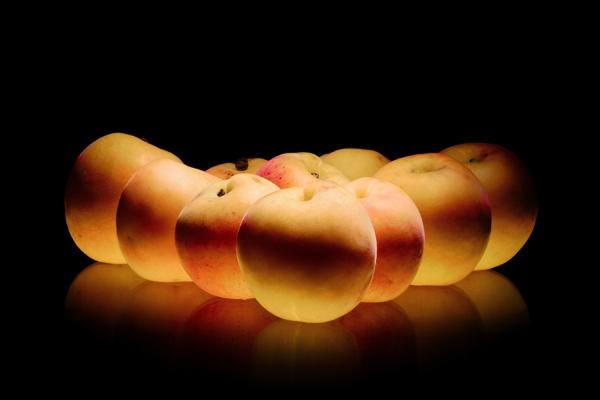 Apricots on black