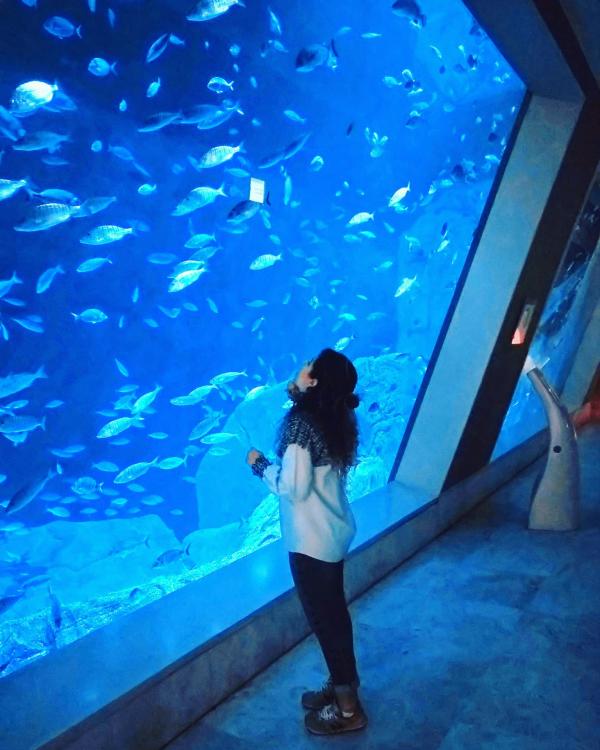 Aquarium in Istanbul.