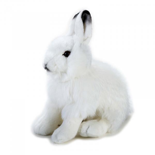 Arctic Hare