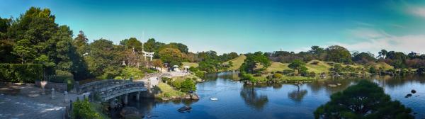 Areal View of Lake Bridge and Trees during Daytime