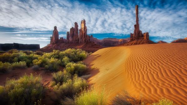 Arizona Beauty