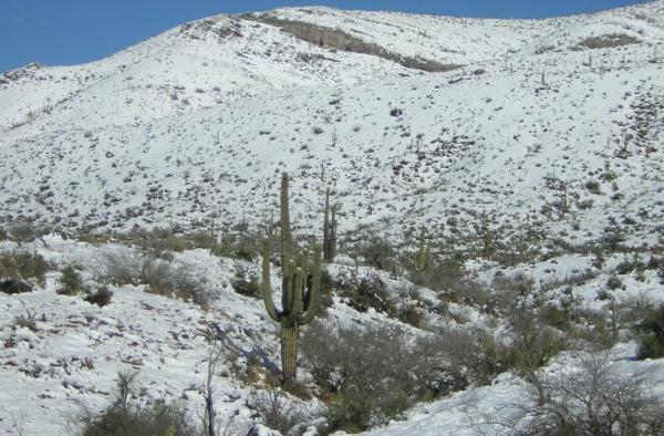 Arizona snow