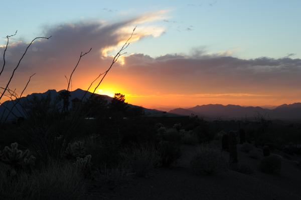 Arizona Sunset