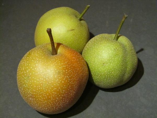 Asian Pears