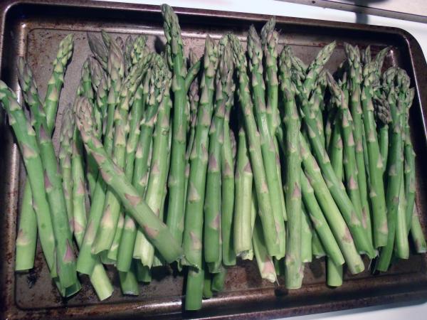 Asparagus