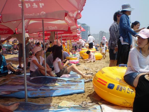 At the Beach