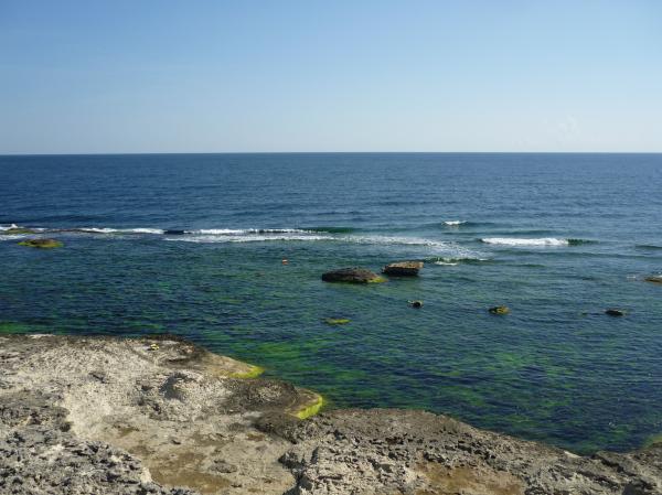 August Sea Colors