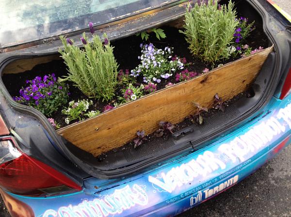 Trunk and Garden