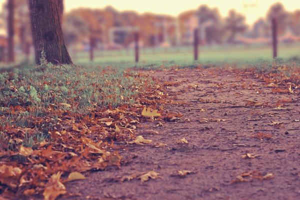 Autumn