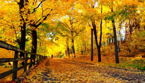 Into autumn