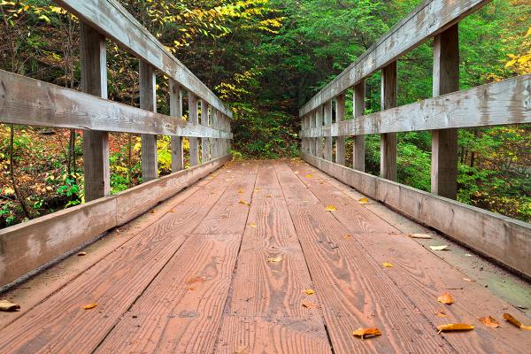 Autumn Boardwalk Bridge - HDR