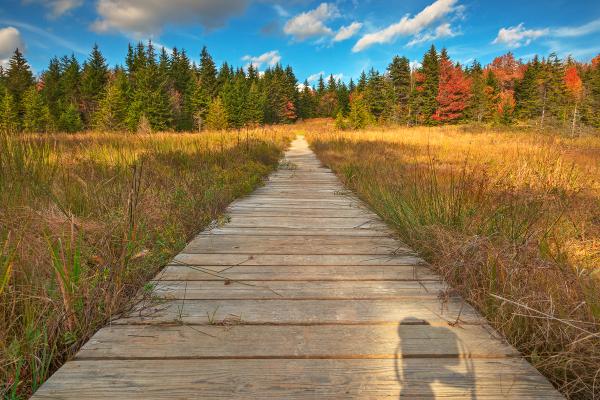 Autumn Camera Obscura Trail - HDR
