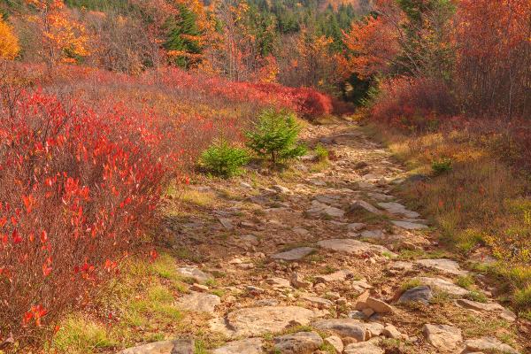 Autumn Christmas Trail - HDR