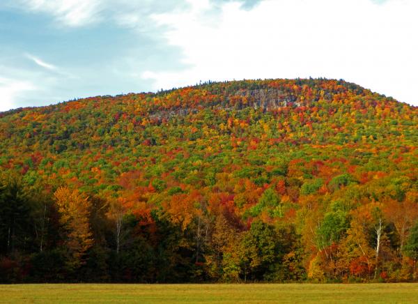 Autumn Color Assault