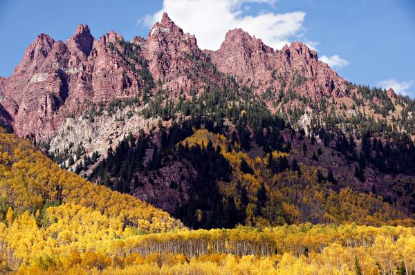 Autumn Gold and Maroon