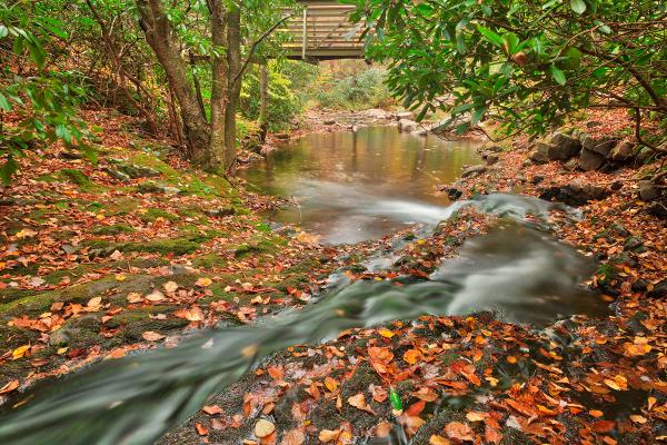 Autumn Hawk Stream - HDR