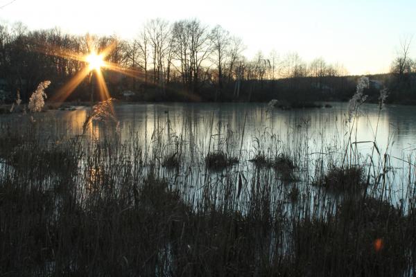 Autumn Lake at Sunset