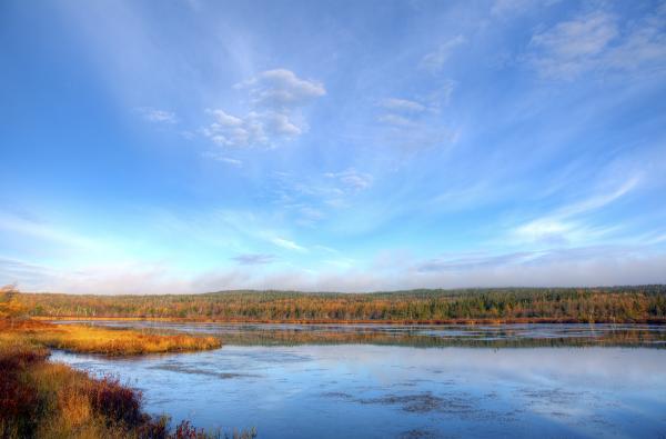 Autumn Lake
