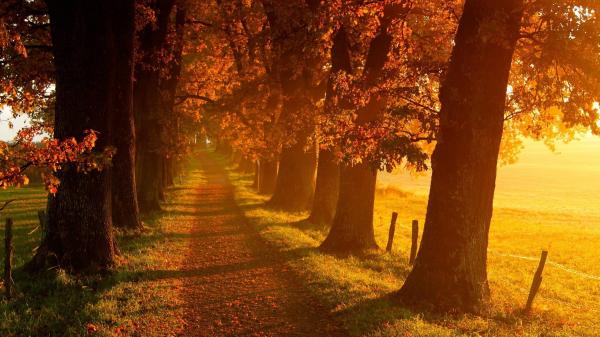 Autumn Landscape