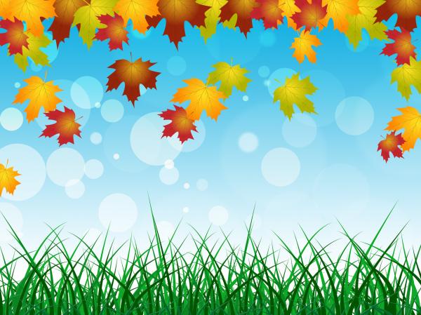 Autumn Landscape Shows Text Space And Blank