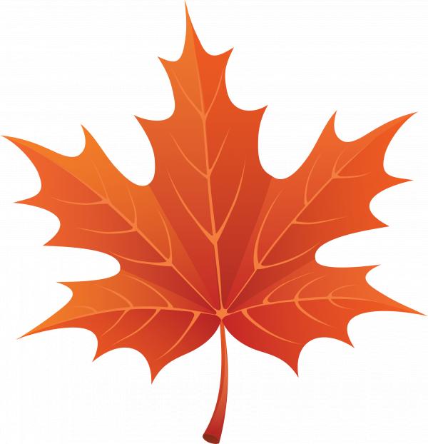 Fall Leafs
