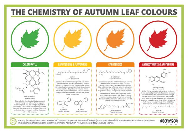 Colors of Autumn