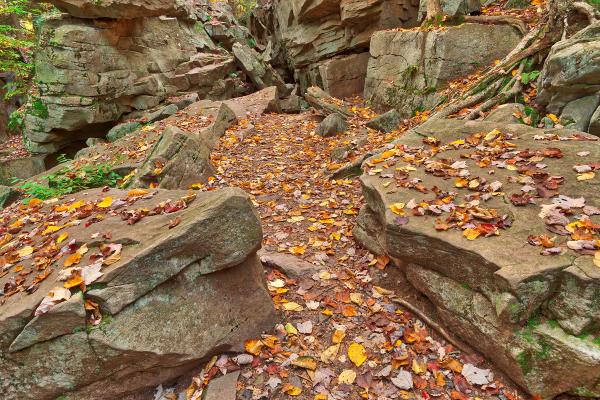 Autumn Midway Crevasse - Ricketts Glen HDR