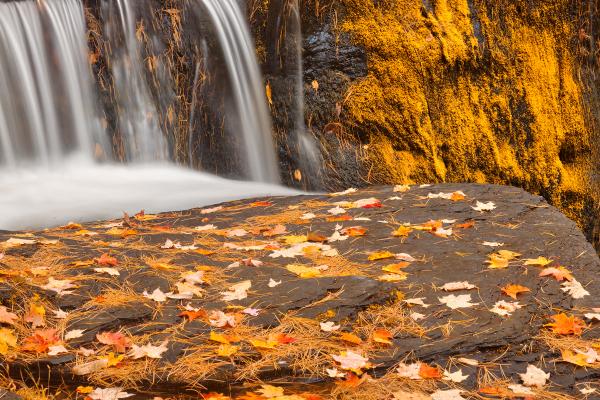 Autumn Moss Factory Falls - Gold Fantasy HDR