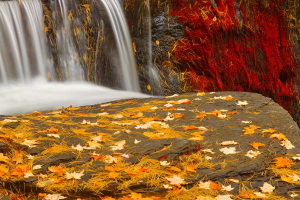 Autumn Moss Factory Falls - Gold Ruby Fantasy HDR