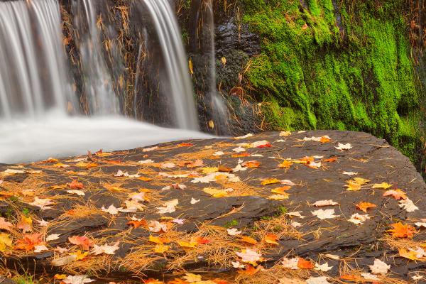 Autumn Moss Factory Falls - HDR