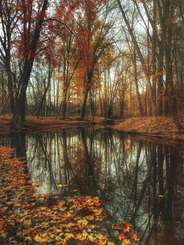 Autumn Prelude Falls