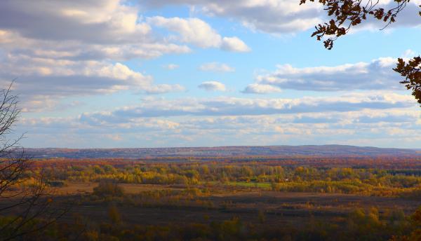 autumn scene
