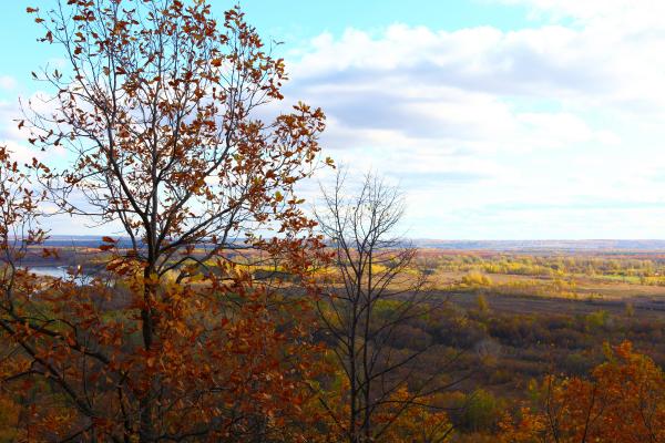 autumn scene