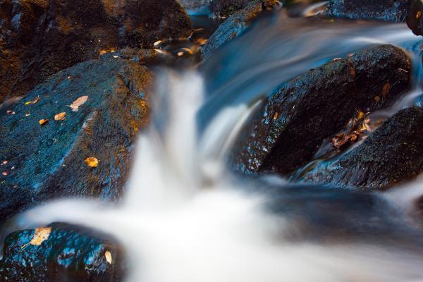 Autumn Stream
