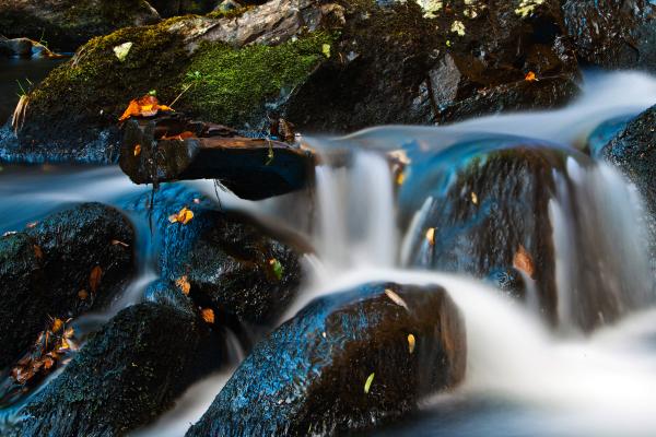 Autumn Stream