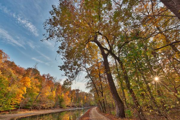 Autumn Sun Kissed Canal - HDR