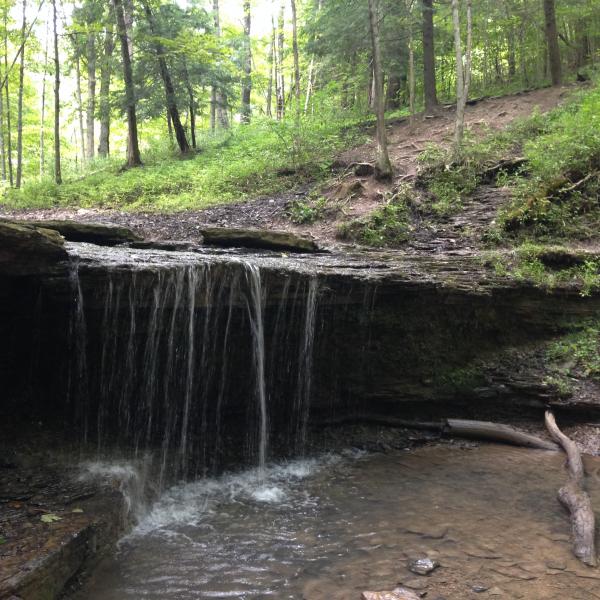 Avalon Hook Falls