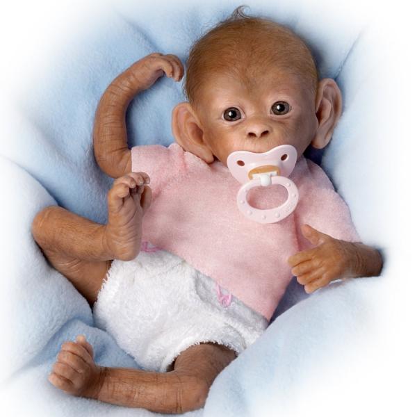 Baby Monkey