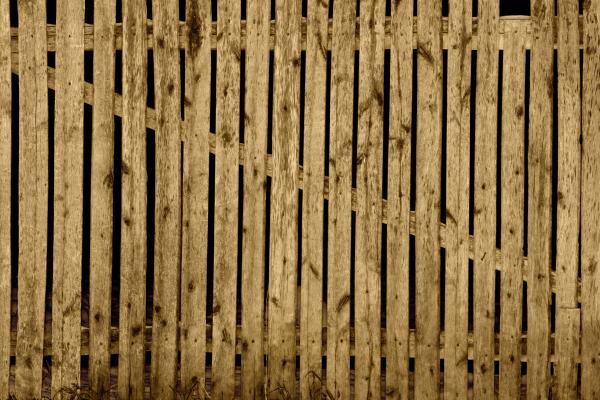backdrop