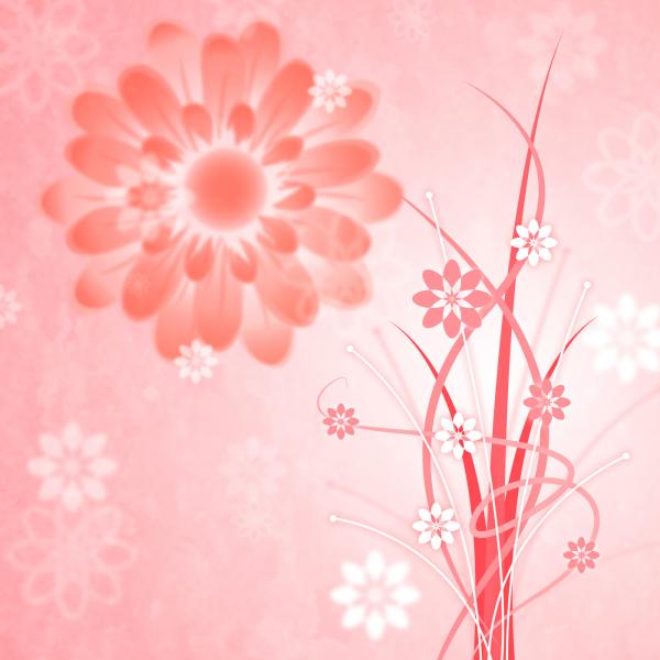 Background Pink Shows Bloom Petal And Blooming