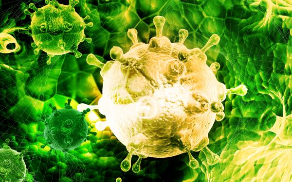 Bacteria