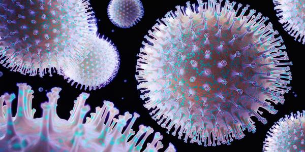 Bacteria